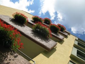 balconies with geraniums